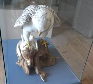 Museum Rosenburg