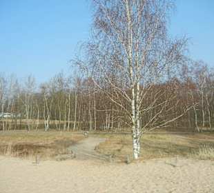 Wunderschöne Boberger Niederung