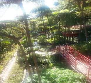 Jardim Tropical Garden Monte Palace