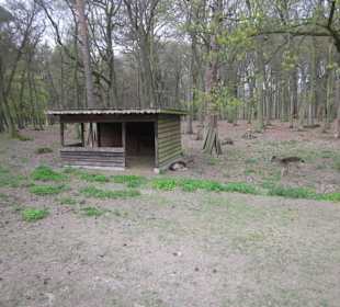 Osteinscher Landschaftspark
