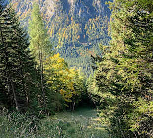 Wandern Pertisau