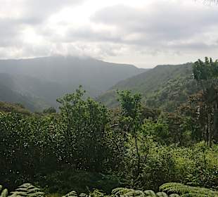 Black River Gorges National Park