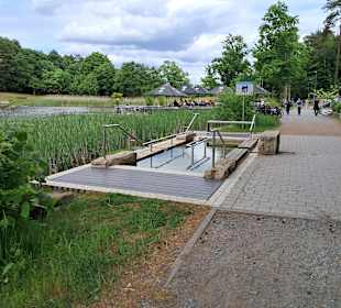 Seewoog in Ramstein-Miesenbach