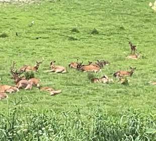 Wandern Postmünster