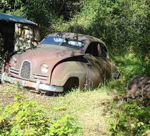Autofriedhof am Foxen