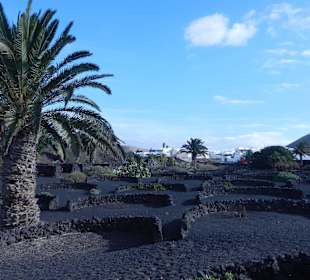 Fundacion Cesar Manrique