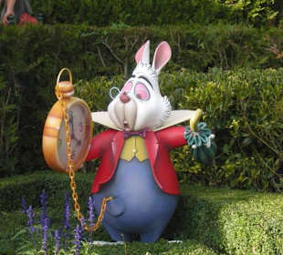 Alice nel paese delle meraviglie