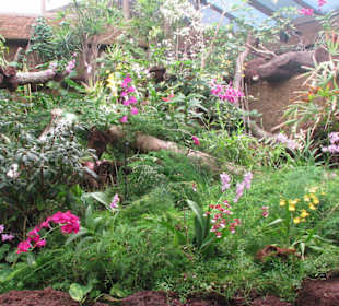 Orchideenhaus