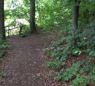 Museum Römer und Bajuwaren