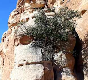 Wanderung am Siq al-Barid Kleines Petra