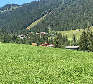 Wandern Balderschwang