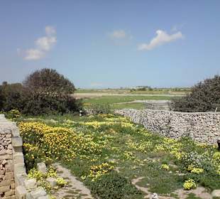 Tempelanlage Hagar Qim