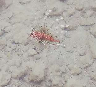 Hurghada Marina Boulevard