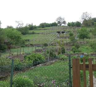 Naturinfopfad Weggental