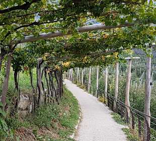 Wandergebiet Schennaberg