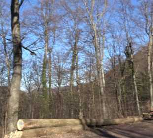 Wandertour Eppenzill