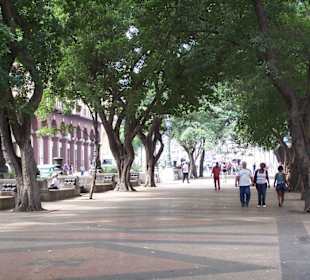 Park