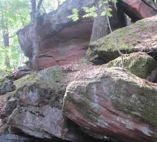 Auf dem Weg zum Hilschweiher