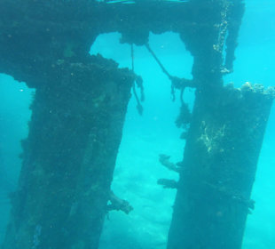 Schnorcheln El Quseir