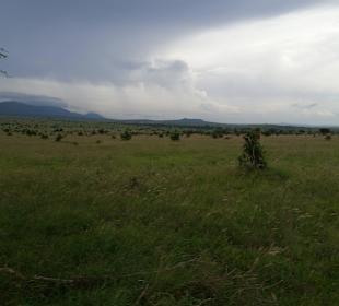 Sarova Salt Lick Game Lodge