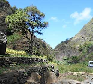 Cova-Ribeira da Torre-Paul Natural Park