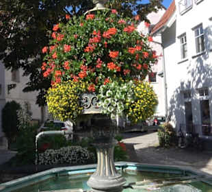Brunnen Vorstadt