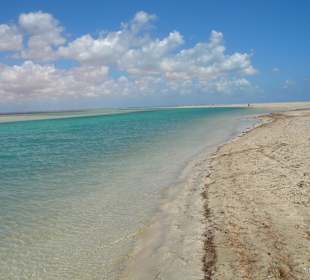 Flamingo Inseln