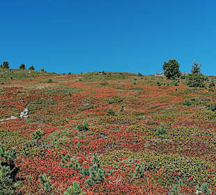 Wandern Campo Tures / Sand in Taufers