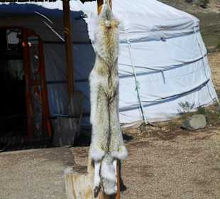 Souvenir-Shop im Gorkhi Terelj Nationalpark