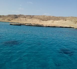 Auf dem Boot, klasse Crew + top Essen, danke noch 