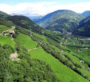 Blick aus der Seilbahn auf die Hänge des Ritten