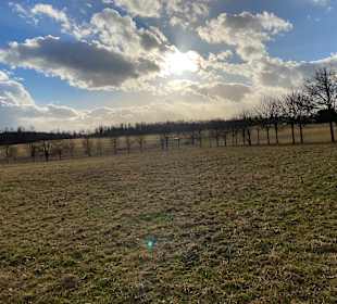 Wandern Thale