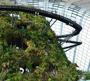 Gardens by the Bay