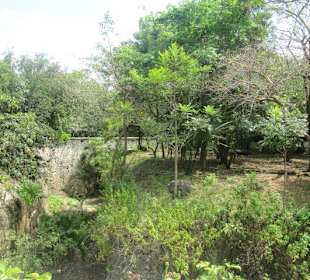 Xcaret