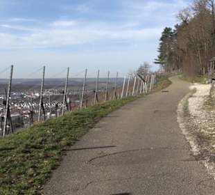 Weinerlebnisweg