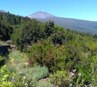  Parque Nacional del Teide