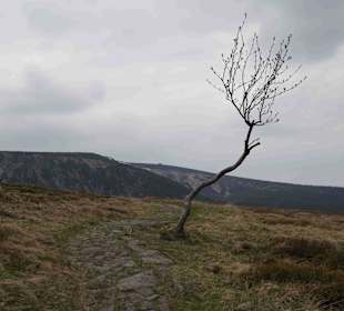 Berg Schneekoppe/Śnieżka