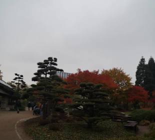 Parkanlage Planten un Blomen