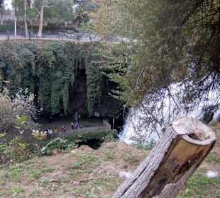 Der Hauptfall