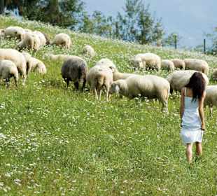 Wandern Obertilliach
