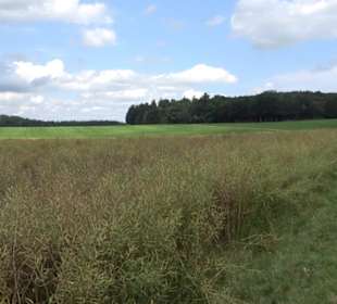 Wanderung Froschteich-Tour