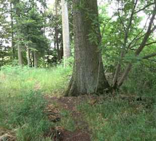 Premiumwanderweg "hochgehackert"