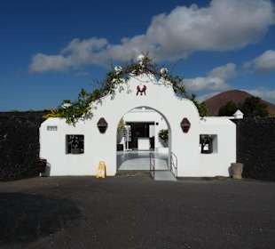 Fundacion Cesar Manrique