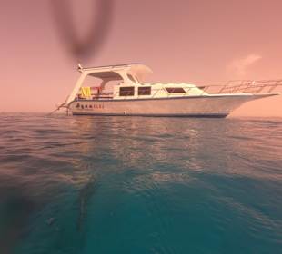 VIP Boot‘s Tour das Boot