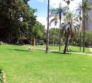 Relaxen im Hyde Park