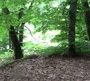Wanderrunde Emeringen zum Rechtenstein