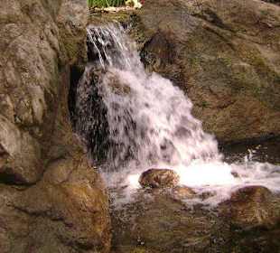 Парк Джулия Пфайфер Бернс