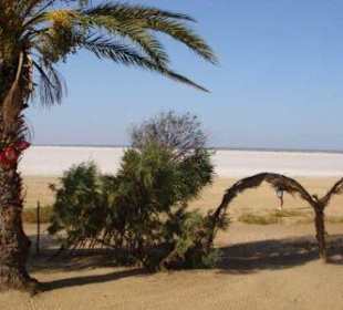 Quad-Tour durch die Salzwüste