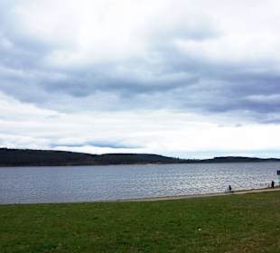 Große Brombach im Blick