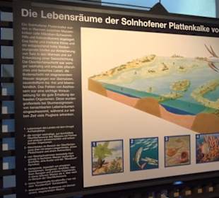 Jura-Museum